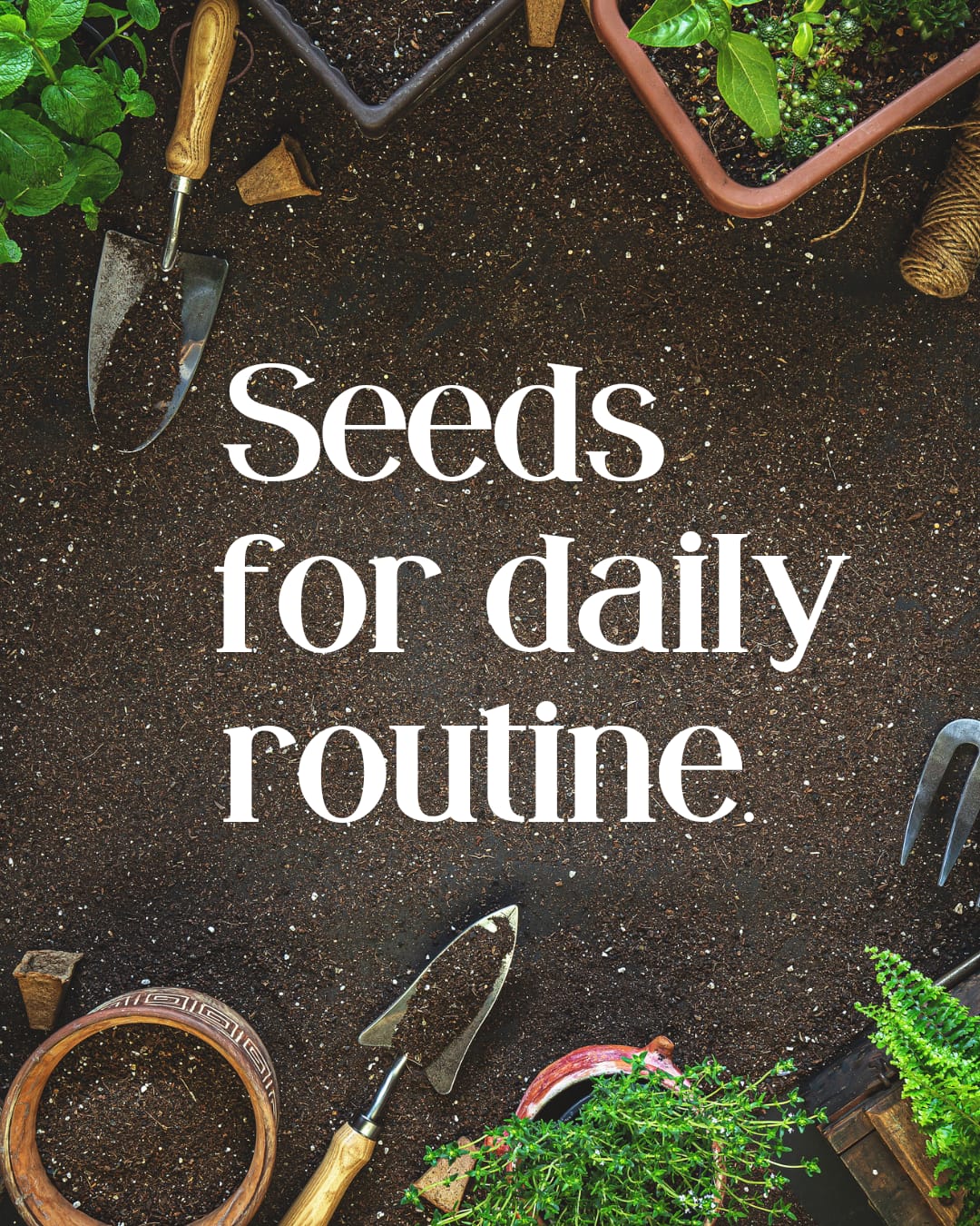 Food Seeds for Daily Routine.